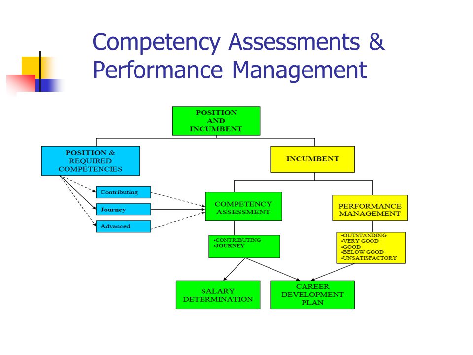 A Guide to Developing a Competency-Based Performance Management System